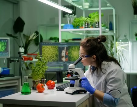 biologist researcher analyzing biological slide for agriculture expertise biologist researcher analyzing biological slide for agriculture expertise
